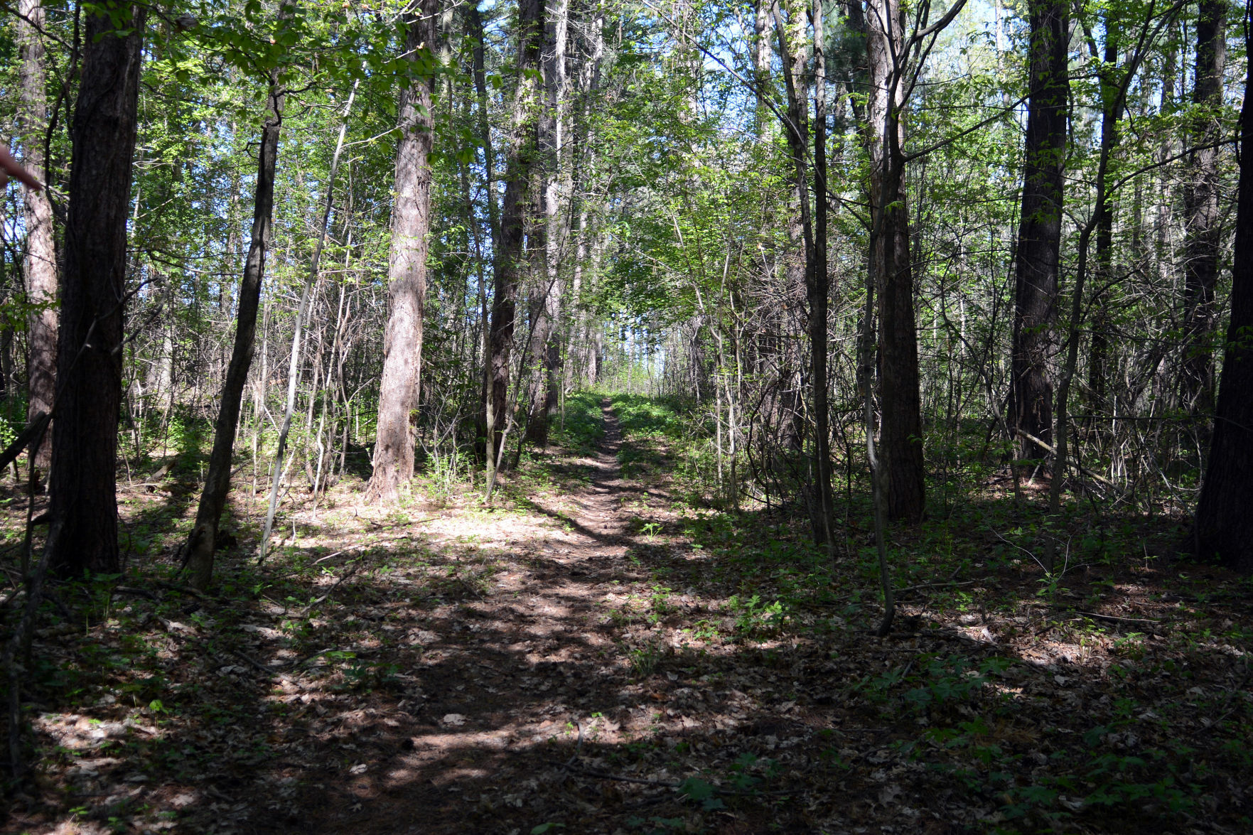 West Baraboo Village Forest